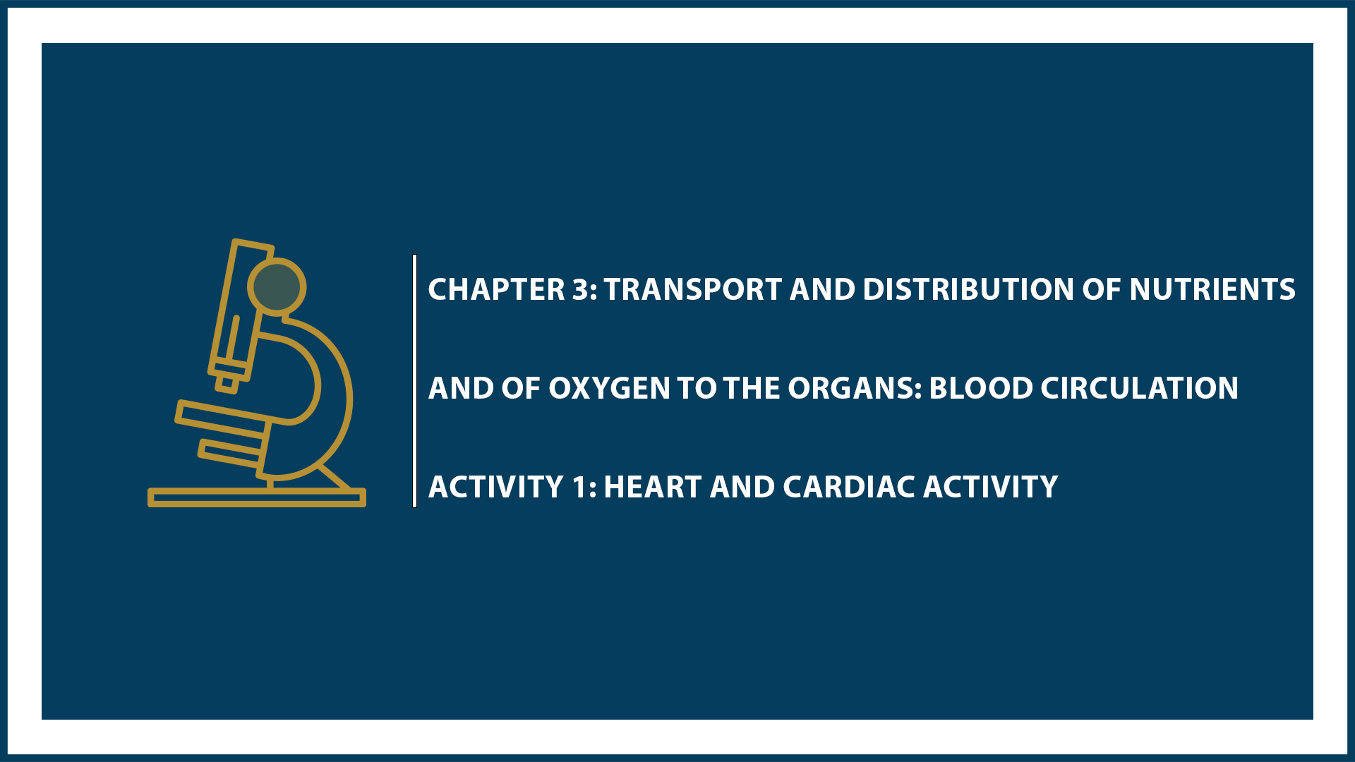 Chapter 3: Activity 1: Heart and Cardiac Activity